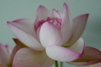 長期醫(yī)療和住院醫(yī)療的區(qū)別在哪里
