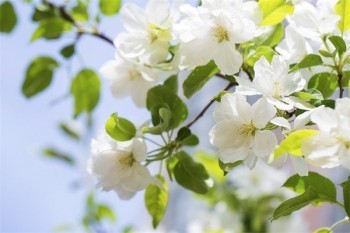 重疾險(xiǎn)買(mǎi)了三年不想買(mǎi)了能退多少保費(fèi)