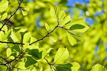 百萬醫(yī)療保險能買到多少歲