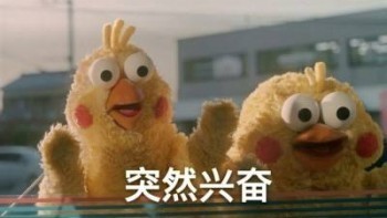 保險(xiǎn)不續(xù)保能退多少錢(qián)