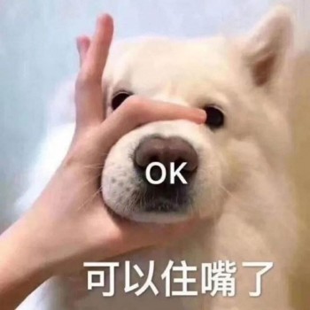 保險(xiǎn)不續(xù)保能退多少錢(qián)