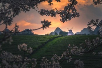 中郵保險可以在手機(jī)上退保嗎