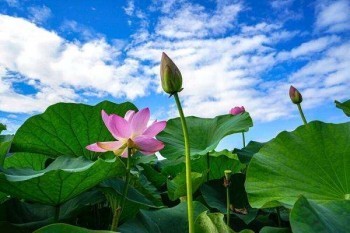 哪個產(chǎn)品的百萬醫(yī)療險(xiǎn)比較好