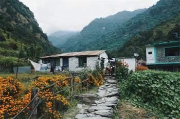 周六可以退保險(xiǎn)嗎
