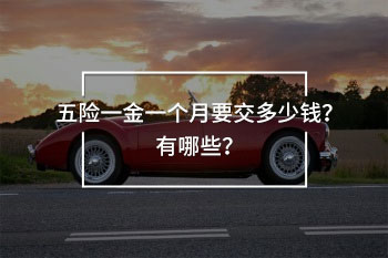 五險一金一個月要交多少錢