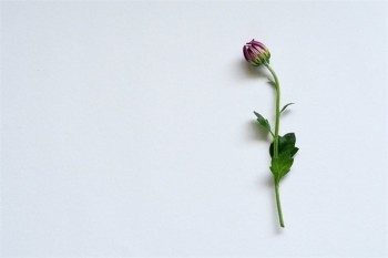 百萬醫(yī)療保險(xiǎn)意外傷害賠嗎