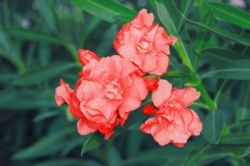 沒(méi)有保單可以退保險(xiǎn)嗎