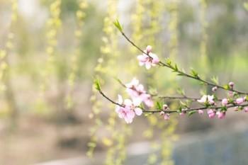 猶豫期退保要領(lǐng)導(dǎo)審批簽字