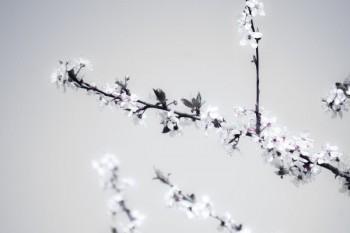 退保險(xiǎn)必須拿保單嗎