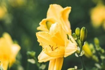 為什么現(xiàn)在好多人退保