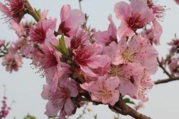 商業(yè)險(xiǎn)出過(guò)一次險(xiǎn)還能退保嗎