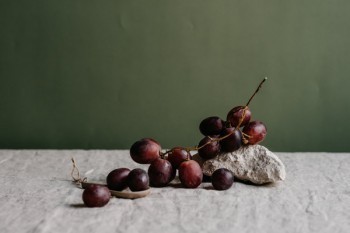 社保認(rèn)證怎么認(rèn)證