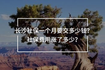 長(zhǎng)沙社保一個(gè)月要交多少錢