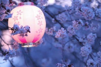 36歲百萬醫(yī)療怎么買保險