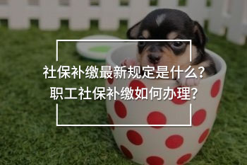 社保補繳最新規(guī)定