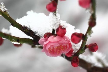 66歲老人的百萬醫(yī)療險(xiǎn)