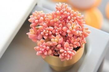 靈活就業(yè)人員醫(yī)療保險