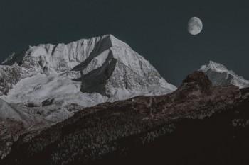 中國人壽可以線上退保嗎