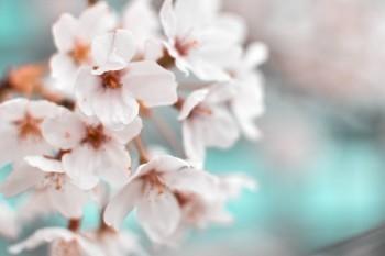 新生嬰兒醫(yī)療保險(xiǎn)怎么辦理