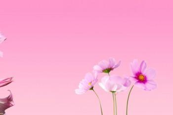 如何續(xù)保平安百萬(wàn)醫(yī)療保險(xiǎn)