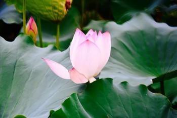 當(dāng)天退保當(dāng)天參保算是斷保嗎