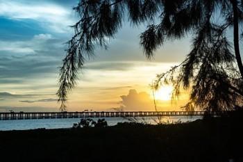 太平洋保險公司百萬醫(yī)療保險條款
