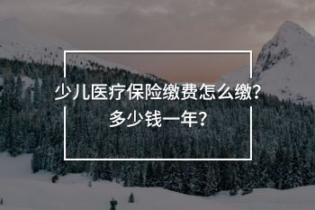少兒醫(yī)療保險(xiǎn)繳費(fèi)