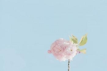 蘇州社保查詢個(gè)人賬戶繳費(fèi)明細(xì)查詢