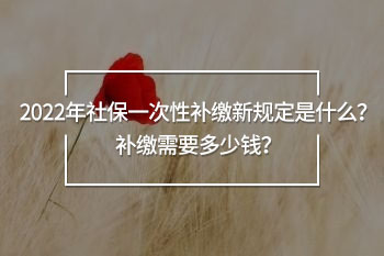 2022年社保一次性補(bǔ)繳新規(guī)定