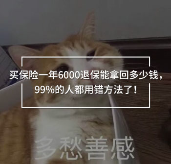 買保險一年6000退保能拿回多少錢