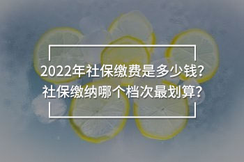 2022年社保繳費(fèi)是多少錢