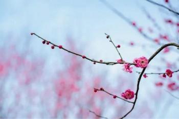 太平洋安享百萬醫(yī)療保險一年交多少錢