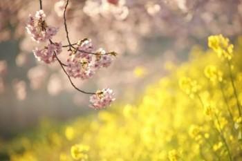泰康人壽百萬醫(yī)療保險(xiǎn)轉(zhuǎn)保