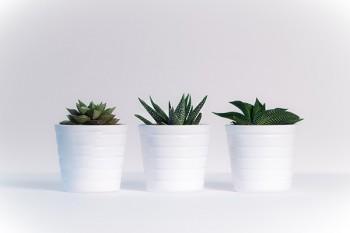 個人意外險怎么買