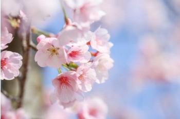 買百萬(wàn)醫(yī)療險(xiǎn)需要什么條件