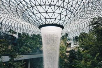 社保繳費(fèi)怎么網(wǎng)上繳費(fèi)