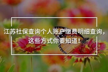 江蘇社保查詢個人賬戶繳費明細