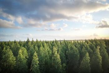離職后個人社保怎么繳納