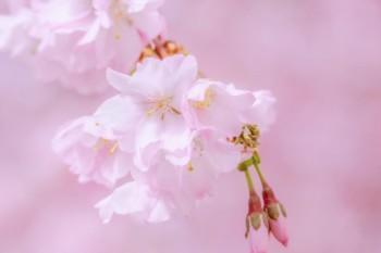 哪個(gè)保險(xiǎn)公司的百萬醫(yī)療險(xiǎn)最好