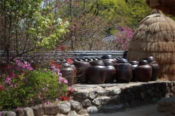 少兒醫(yī)保報(bào)銷(xiāo)范圍及比例