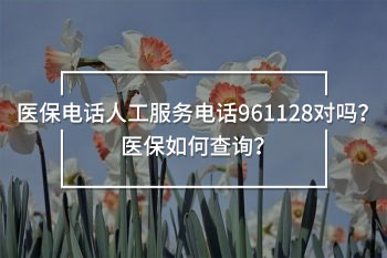 醫(yī)保電話人工服務電話961128