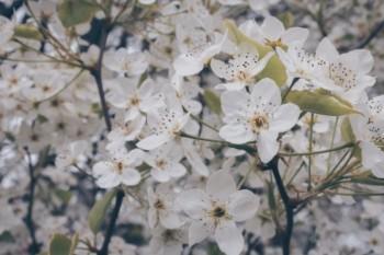重疾險(xiǎn)口碑最好的保險(xiǎn)公司