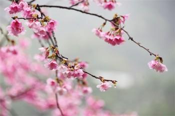 10萬(wàn)太平洋保險(xiǎn)6年退保多少錢(qián)