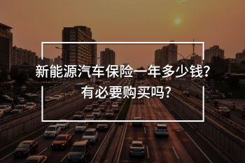 新能源汽車保險(xiǎn)一年多少錢