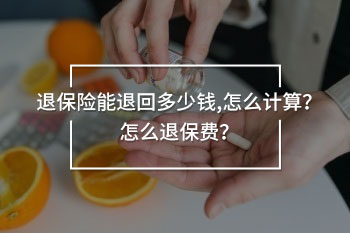 退保險能退回多少錢,怎么計算