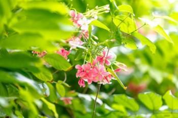 保險(xiǎn)可靠嗎，到底值不值得買(mǎi)