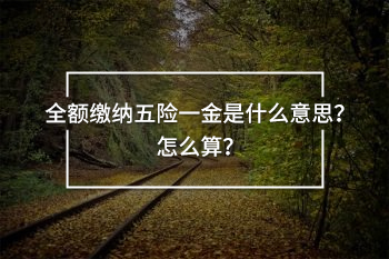 全額繳納五險一金是什么意思