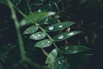 信用卡保險(xiǎn)退保后錢怎么退回