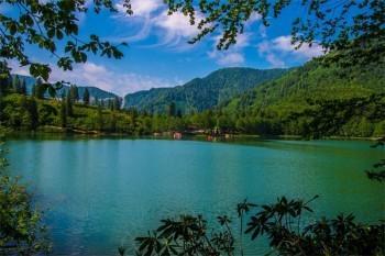 太平保險交了4年可以退嗎