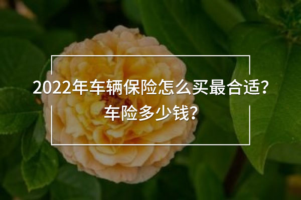 2022年車輛保險(xiǎn)怎么買(mǎi)最合適